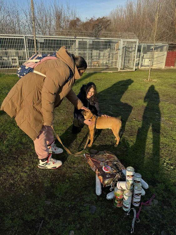 Látogatás az ebtelepen