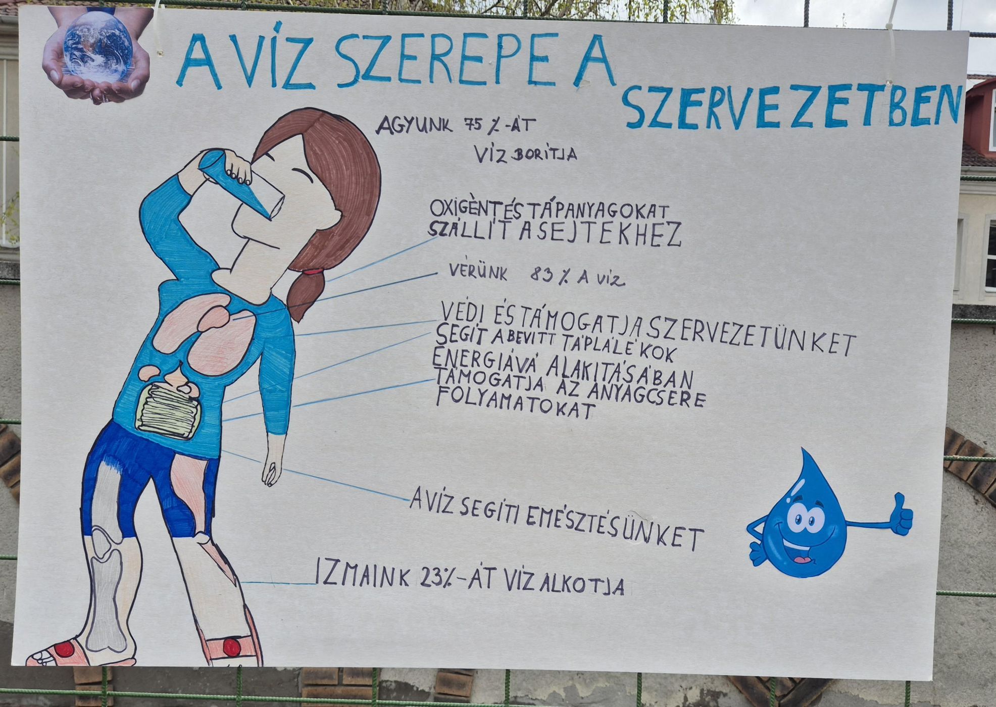 zoldbojt_2025_04_027.jpg