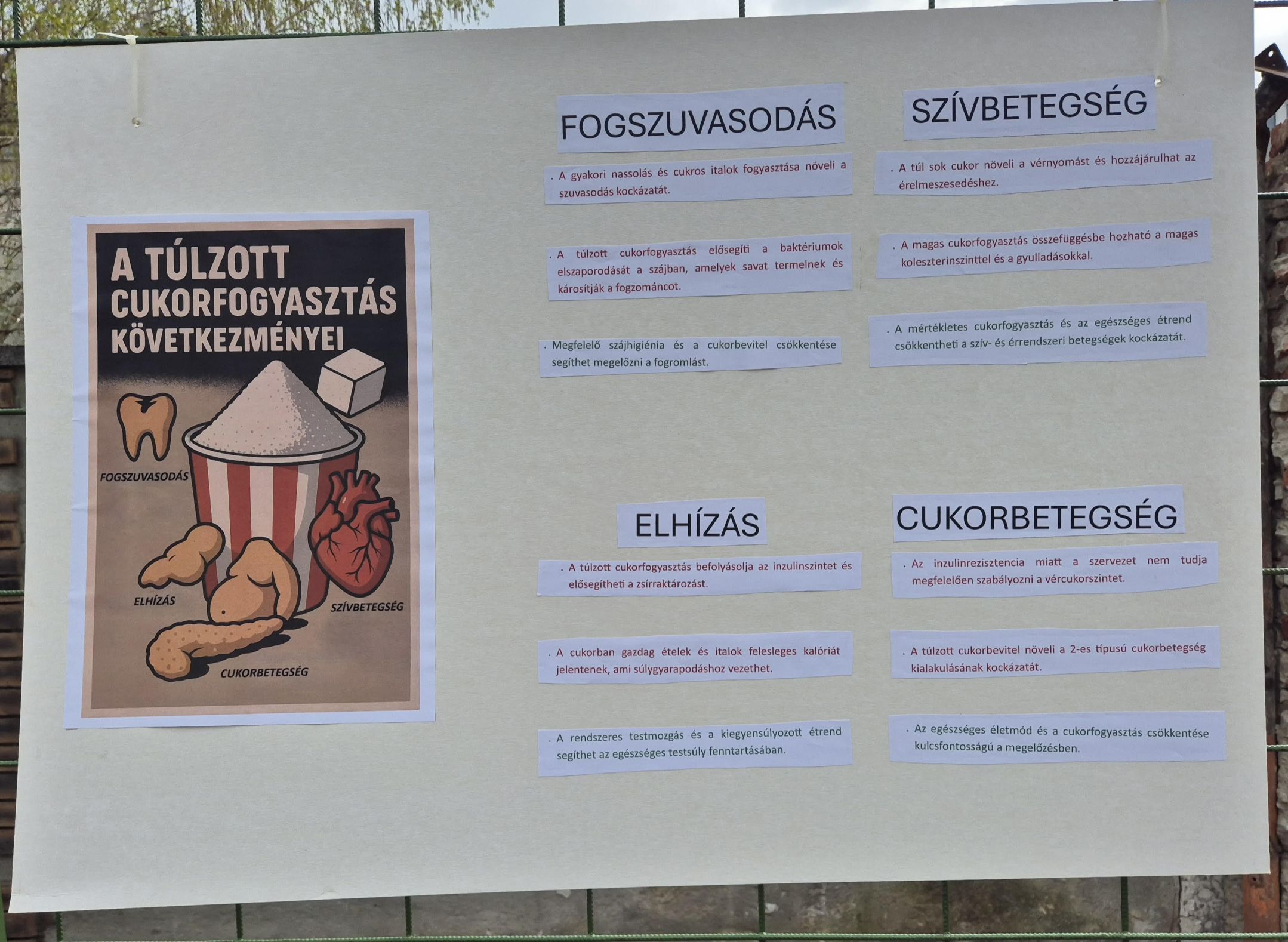 zoldbojt_2025_04_029.jpg